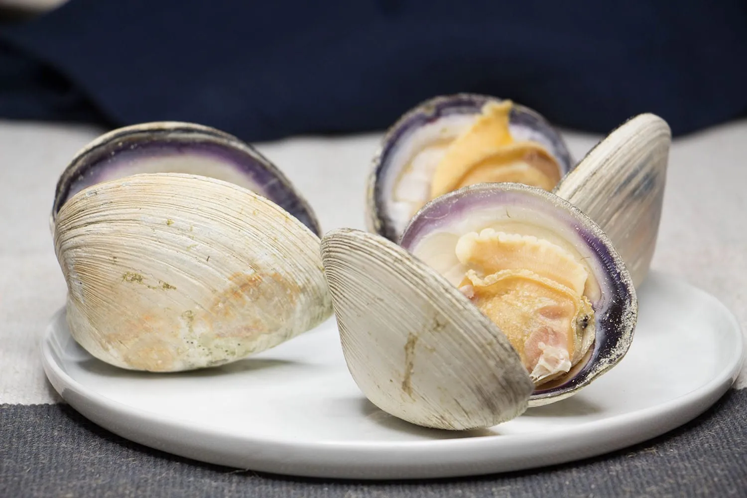 New England Stuffed Clams